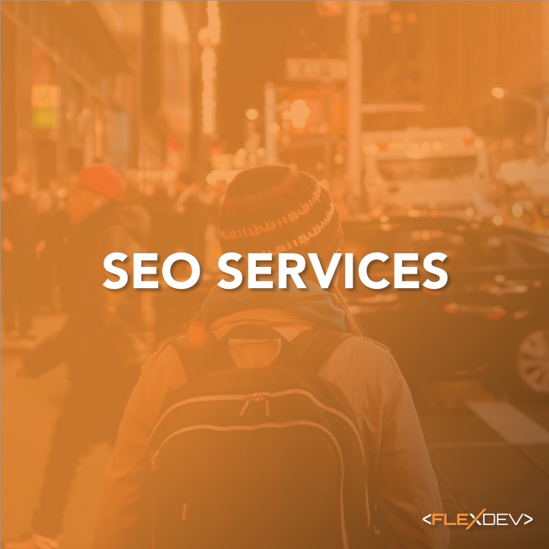 SEO Services Package - FlexDev